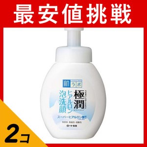  2個セット肌ラボ 極潤  ヒアルロン泡洗顔 160mL (ポンプ付き本体)