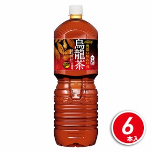 コカ・コーラ 煌烏龍茶 2L×6本（6本×1ケース）