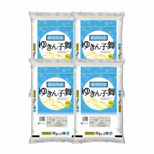 お米 新潟県産 ゆきん子舞 精白米 20kg（5kg×4袋）令和5年産 / ブランド米 米 国内産 新潟産