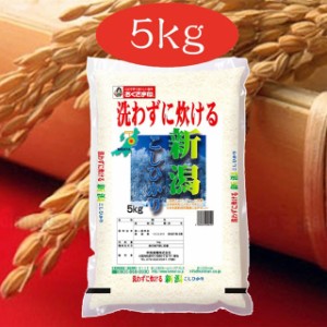 お米 新潟県産コシヒカリ 無洗米 5kg 令和5年産 / ブランド米 米 国内産 新潟産