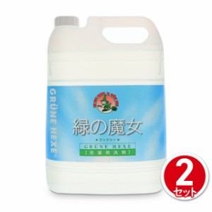 洗剤 洗濯洗剤 緑の魔女 ランドリー 業務用 5L×2個セット