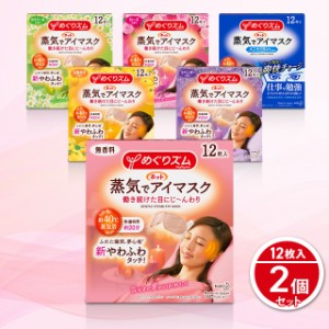 めぐりズム 蒸気でホットアイマスク 12枚入×2個セット