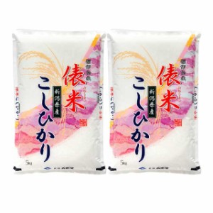 お米 新潟県産 こしひかり 精白米 10kg（5kg×2袋）令和5年産 / ブランド米 米 国内産 新潟産