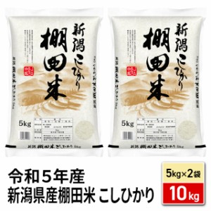 お米 新潟県産棚田米 こしひかり 精白米 10kg（5kg×2袋）令和5年産 / ブランド米 米 国内産 新潟産 