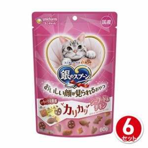 キャットフード 銀のスプーン おいしい顔が見られるおやつ カリカリ シーフード ＆ チキン 60g 6個セット 猫 まとめ買い