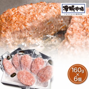 肉 凍眠市場 山形牛 ハンバーグ 160g×6個 冷凍 国産 牛肉 凍眠