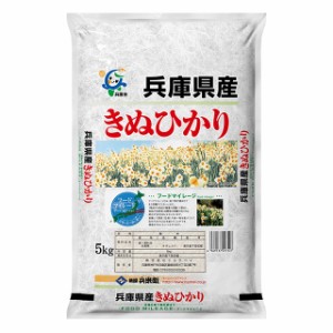 お米 兵庫県産 きぬひかり 5kg 令和5年産 / ブランド米 米 国内産 兵庫産 