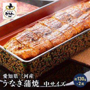 うなぎ 国産 愛知県三河産 うなぎ蒲焼 中サイズ 約130g×2尾 無頭 タレ付 化粧箱 ウナギ 鰻 あつみ 贈答 冷凍