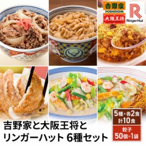 吉野家と大阪王将とリンガーハット 6種セット 牛丼 豚丼 炒飯 ちゃんぽん 皿うどん 吉野家 大阪王将 リンガーハット アソート セット 麺