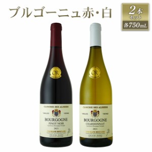 ブルゴーニュ赤・白ワイン2本セット 750mL×2本 赤ワイン・白ワイン 家飲み 飲み比べ