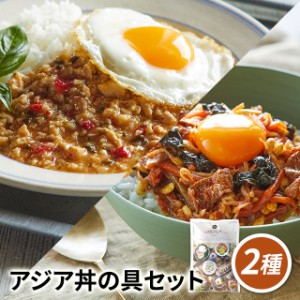 カラミノフーズ 世界のグルメ旅 アジア丼の具セット 2種 ガパオ ビビンバ 冷凍惣菜 タイ 韓国 冷凍食品