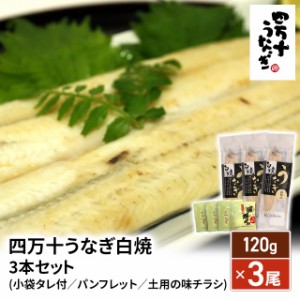 うなぎ 国産 四万十 うなぎ 白焼 ３本セット(小袋タレ付／パンフレット／土用の味チラシ) 120g×3尾 ウナギ 鰻 土用 丑の日 ひつまぶし 