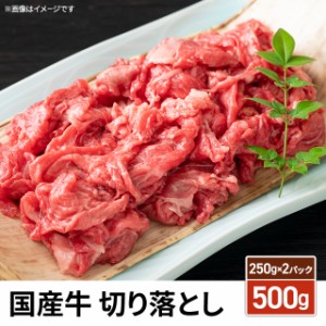 国産牛 切り落とし 500g（250g×2パック） 牛肉 お取り寄せ 定番