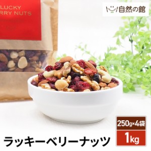 ラッキーベリーナッツ 1kg （250g×4袋） 4種のナッツ & 2種のベリー 無塩 ミックスナッツ ベリー ナッツ ロカボ トッピング おやつ 　　