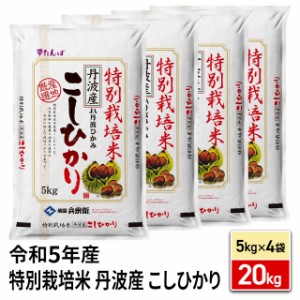 お米 特別栽培米 丹波産 こしひかり 精白米 20kg（5kg×4袋）令和5年産 / ブランド米 米 国内産