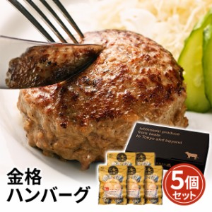 格之進 金格ハンバーグ 120g×5個 ギフト お取り寄せグルメ 肉 惣菜 国産牛 白金豚 使用 ハンバーグ 牛肉 豚肉 合い挽き