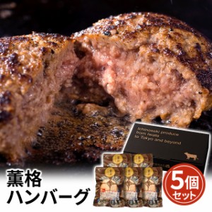 格之進 薫格ハンバーグ 120g×5個 ギフト お取り寄せグルメ 肉 惣菜 国産牛 白金豚 使用 ハンバーグ 牛肉 豚肉 合い挽き