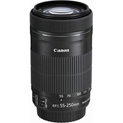 (中古)Canon Canon EF-S 55-250mm F4-5.6 IS STM (レンズ)(348-ud)