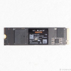 (中古)Western Digital WDS100T3X0E WD BLACK SN770 NVMe SSDシリーズ(262-ud)