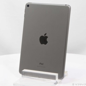 (中古)Apple iPad mini 第5世代 256GB スペースグレイ MUU32J/A Wi-Fi(349-ud)