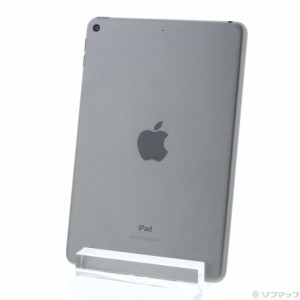 (中古)Apple iPad mini 第5世代 64GB スペースグレイ MUQW2J/A Wi-Fi(348-ud)