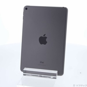 (中古)Apple iPad mini 第5世代 64GB スペースグレイ FUQW2J/A Wi-Fi(269-ud)
