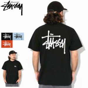 ステューシー Tシャツ 半袖 STUSSY メンズ Basic Stussy Pigment Dyed (stussy tシャツ tee ピグメント カットソー 1904879 USAモデル 正