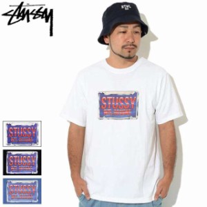 ステューシー Tシャツ 半袖 STUSSY メンズ Plates ( stussy tee T-SHIRTS カットソー トップス 1904776 USAモデル 正規 )