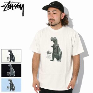 ステューシー Tシャツ 半袖 STUSSY メンズ Big &amp; Meaty Pigment Dyed ( stussy tシャツ tee ピグメント カットソー 1904880 USAモデ