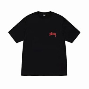 STUSSY ステューシー  Tシャツ  半袖 並行輸入品