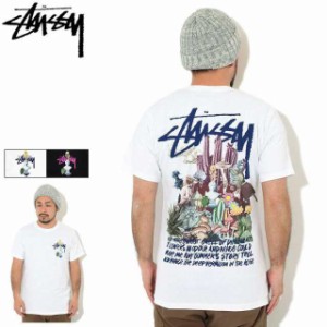 ステューシー Tシャツ 半袖 STUSSY メンズ &amp; レディース Psychedelic ( stussy tee T-SHIRTS カットソー トップス 1904663 USAモデル