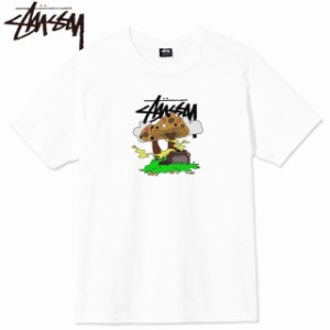 STUSSY ステューシーTシャツ【SOMETHINGS COOKIN S/S Tee】White/2021S メンズウエアー