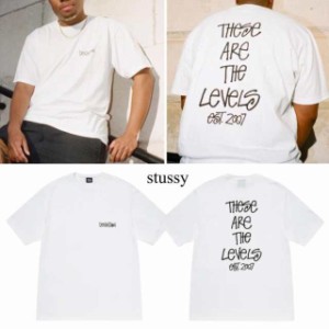 『2023新品』ステューシーSTUSSY DEVIATION TEE カットソー 半袖 Tシャツ 3903833