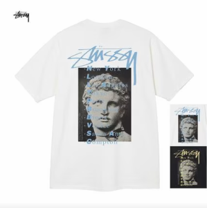 STUSSY ステューシー Tシャツ  STUSSY STATUE PIG. DYED TEE カットソー  半袖 並行輸入品