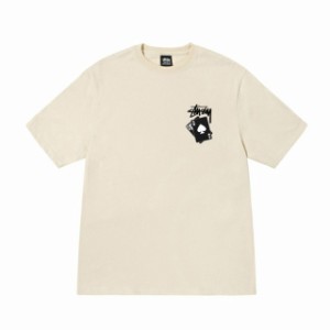 STUSSY ステューシー Tシャツ Tシャツ ホワイト 白 半袖 並行輸入品