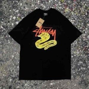 ステューシーSTUSSY 新作 TEE 半袖 Tシャツ 並行輸入品