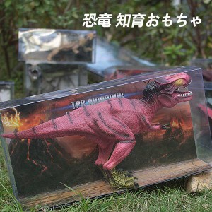 恐竜 おもちゃ 恐竜 模型 恐竜フィギュア おもちゃ 本格的なリアルフィギュア 模型 恐竜 おもちゃ 恐竜の世界 知育 おもちゃ リアル 恐竜