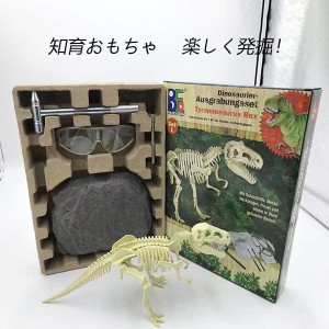 恐竜 おもちゃ 知育 おもちゃ 発掘 恐竜化石 恐竜の骨 恐竜 おもちゃ 知育おもちゃ 発掘 DIY おもちゃ 恐竜化石発掘 おもちゃ 手先のトレ