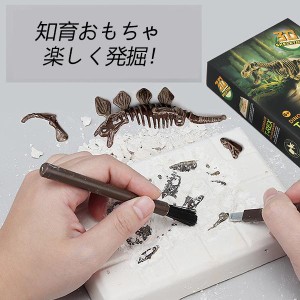 恐竜 おもちゃ 知育 おもちゃ 発掘 恐竜化石 恐竜の骨 恐竜 おもちゃ 知育おもちゃ 発掘 DIY おもちゃ 恐竜化石発掘 おもちゃ 手先のトレ