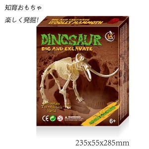 恐竜 おもちゃ 知育 おもちゃ 発掘 恐竜化石 恐竜の骨 恐竜 おもちゃ 知育おもちゃ 発掘 DIY おもちゃ 恐竜化石発掘 おもちゃ 手先のトレ