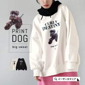 冬服 レディース トレーナーの通販|au PAY マーケット