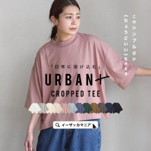 春新作 新作 新着 zootie ズーティー 【メール便可11】 URBAN PLUS クロップドTシャツ レディース トップス カットソー プルオーバー Tシ