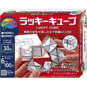 かつのう ラッキーキューブ 活脳パズル 【キューブパズル 立体パズル 知育玩具 育脳 ハナヤマ】