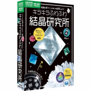 学研 キラキラふわふわ 結晶研究所 (科学と学習PRESENTS) 【6歳以上 工作 ミョウバン ガイドブック付属 知育玩具 自由研究 本 学研プラス