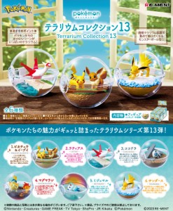 【送料無料！】リーメント ポケットモンスター テラリウムコレクション13 BOX 【全6種セット(フルコンプリートセット)】 【ポケモン ミニ