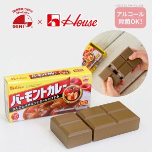 木製玩具 おままごと バーモントカレー＜甘口＞ 単品 【ルー 赤ちゃん おもちゃ 知育玩具 ベビートイ ギフト 誕生日プレゼント 出産祝い 