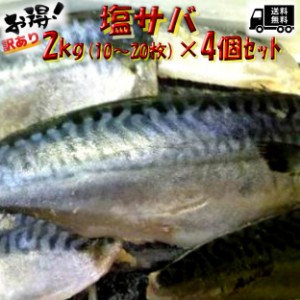 送料無料セット売り　訳あり 国産 塩サバ 山盛り 約2kg入×4個  のし対応 お歳暮 お中元 ギフト BBQ 魚介