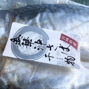 送料無料セット売り　宮城加工 金華沖サバ 開き(1尾×12個) のし対応 お歳暮 お中元 ギフト BBQ 魚介