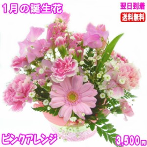 1月誕生花★ピンクアレンジ3,500円【送料無料】ネット特価！！