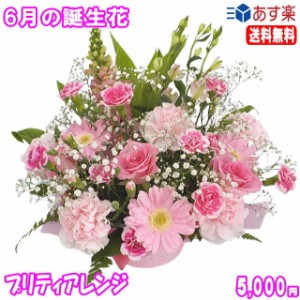 6月の誕生花★プリティアレンジ5,000円【送料無料】